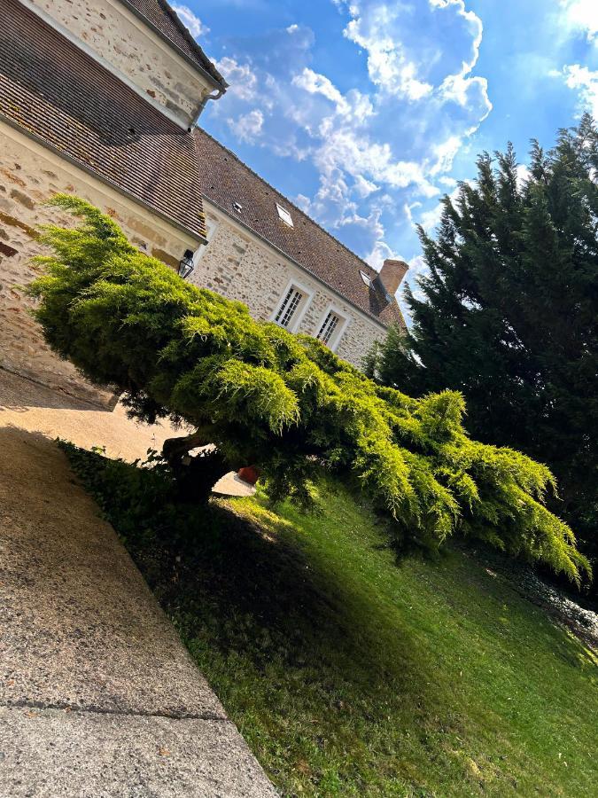 Le Domaine De Jade Apartment Chatillon-la-Borde Екстериор снимка